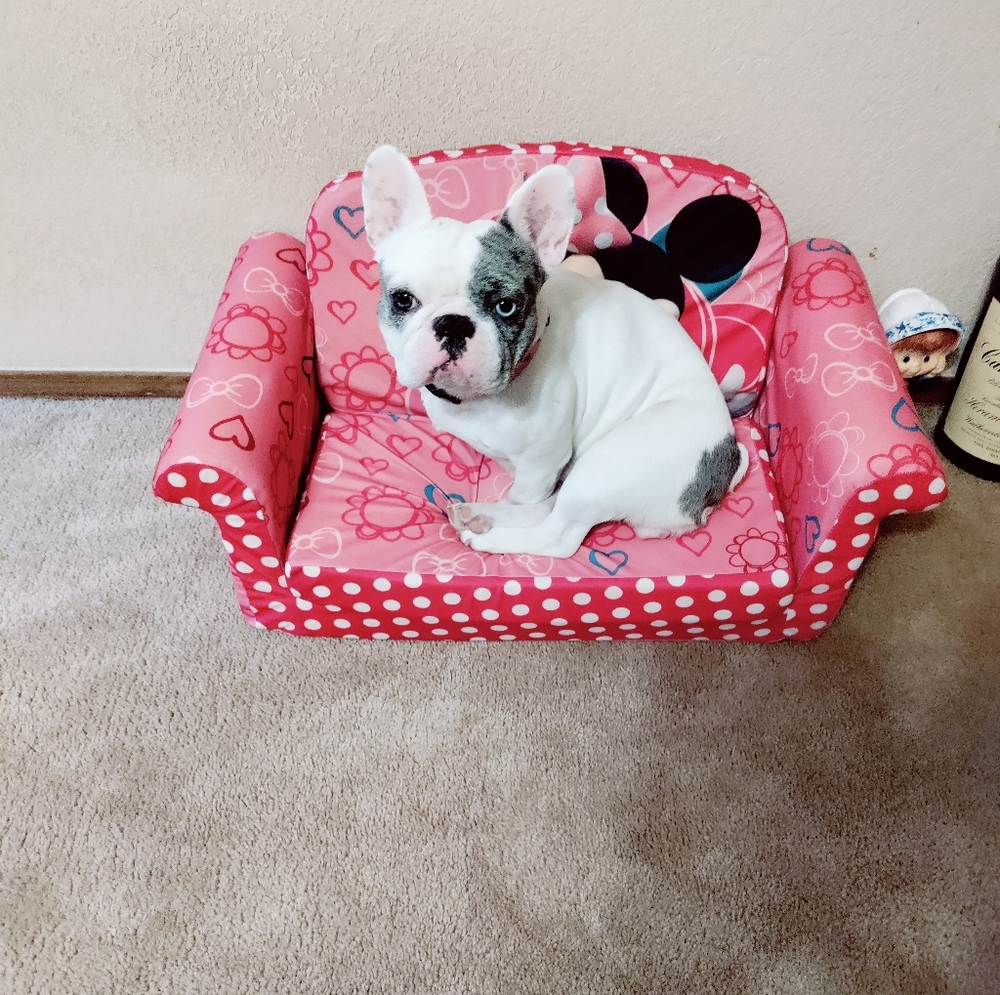 Meet your Posher, Mary